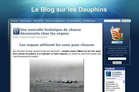 Le Blog sur les Dauphins : le site dont est partie l'association